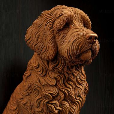 3D model Spanish Water dog (STL)